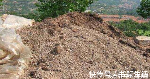 茉莉花不用花钱买,家里有一盆变出好多盆,全靠这一招!