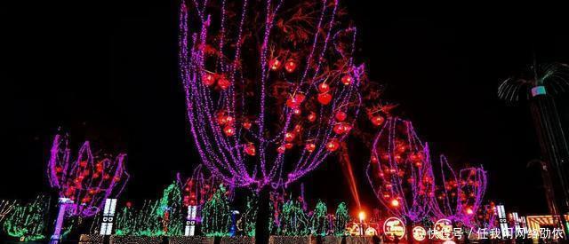 老年|朔州的春节彩灯亮起来了