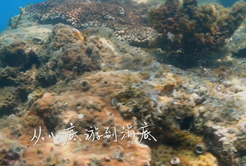 潛水|《你好生活》：保護珊瑚的意義重大，尼格買提呼吁保護珊瑚