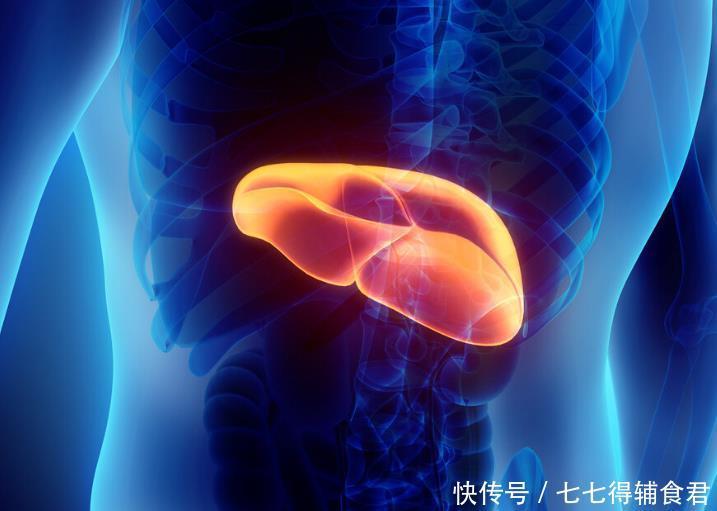 肝脏的“黄金搭档”找到了,不是菊花,平时可劲喝,肝脏越发健康