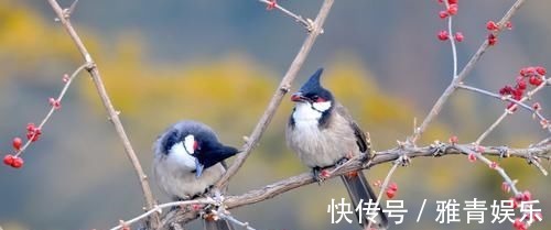 射手座|实力强大，让人尊重，这三个星座从来都是天之骄子，但唯独不快乐