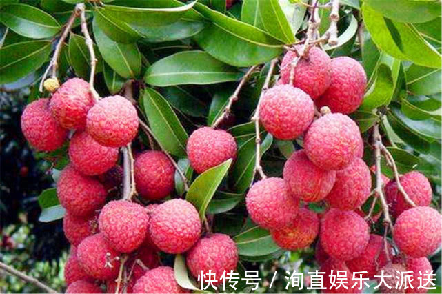 水果|更年期女性遇上三伏天，多吃3种水果，补心益气滋补身体