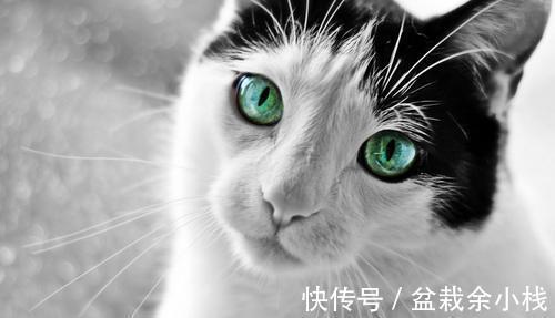 |幽默笑话:今天一个文件,需要领导签字,到了办公室发现