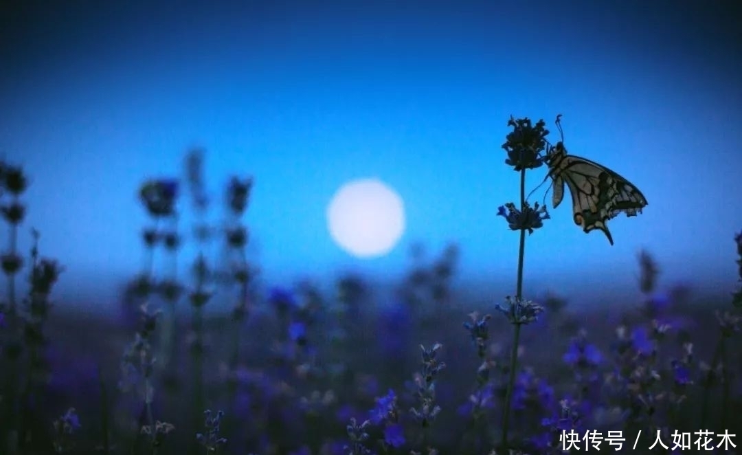 万物|立春丨听一曲古琴演奏《春风》万物知春,和风淡荡