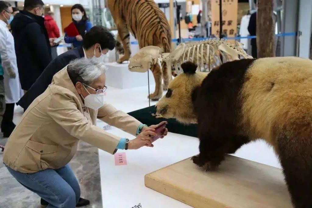  展览地点|周末去哪儿玩？长三角博物馆走一个！