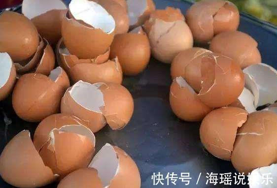 骨头|养蟹爪兰不开花往花盆里撒“2种废渣”,花芽长出来,开出花!