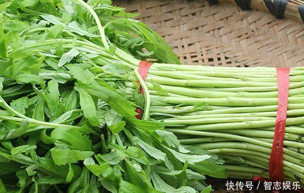 北方人很多都不认识,在南方却特别流行的蔬菜,你们吃过几种