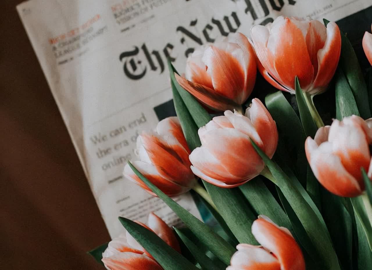 浮躁&做好这六件事,让浮躁的心静下来