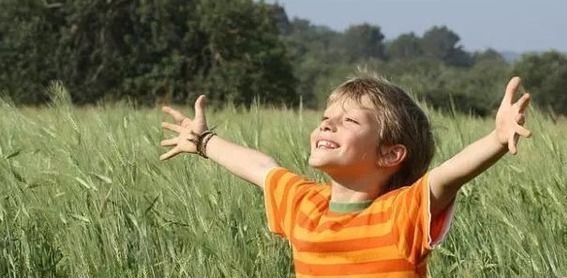 原则|教育男孩坚持4原则,这样教育男孩,孩子长大会更有出息