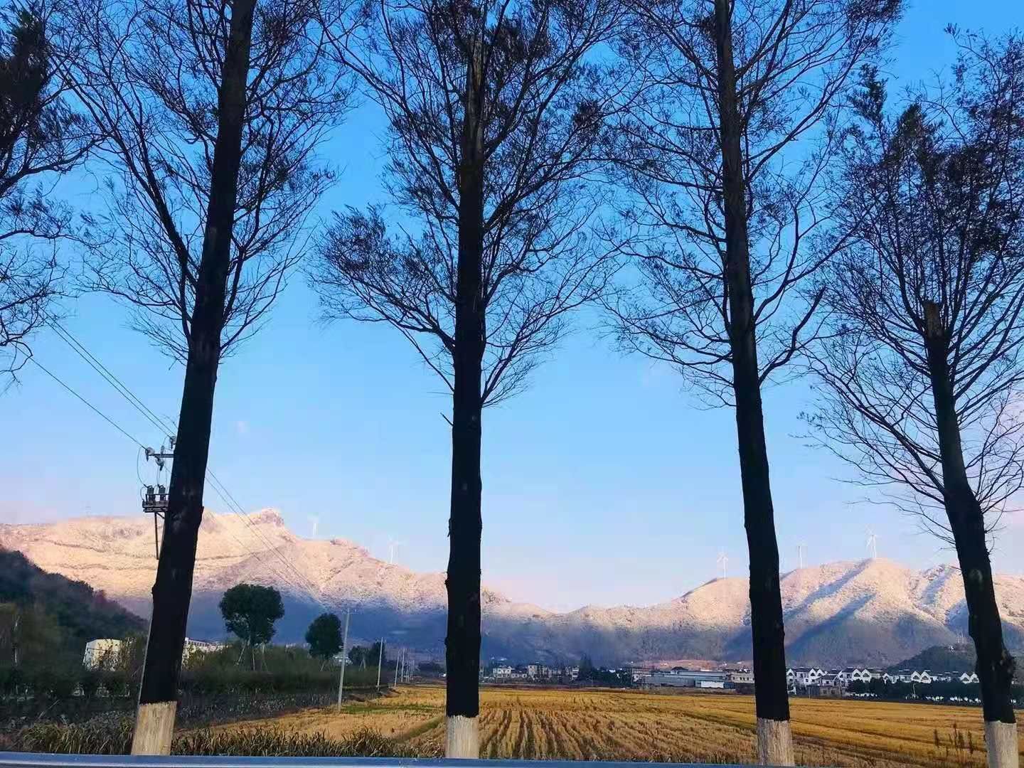 初雪过后，象山人朋友圈开启“晒雪”模式……