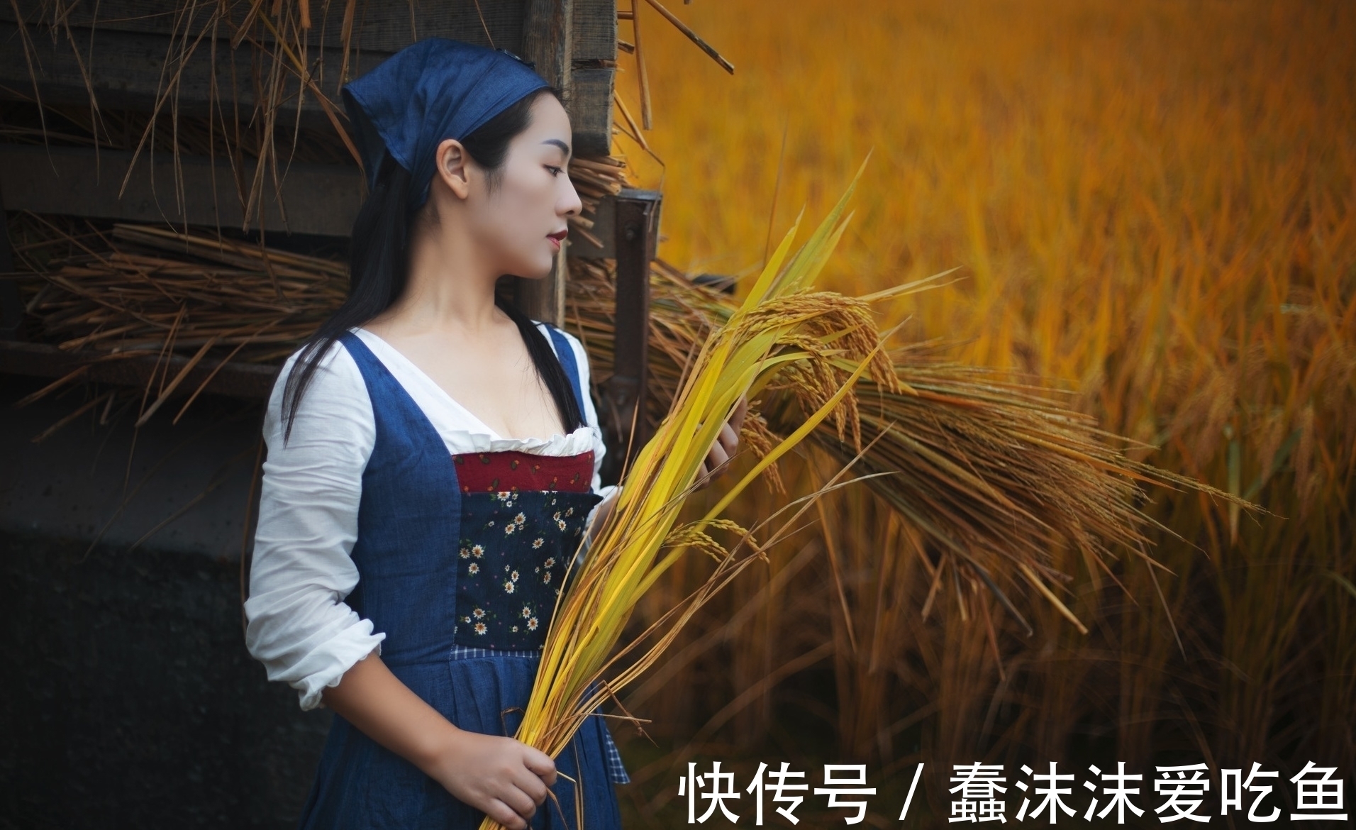 碧汉!原创对联·十二副丨抱十里荷塘,花开若雪;依一弯柳岸,萍聚连根