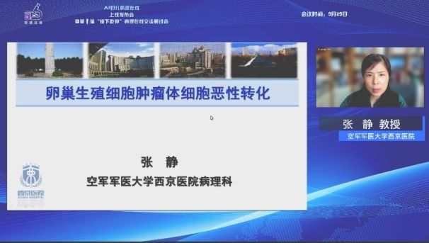 妇产病理镜|携手共进，妇产病理镜下定乾坤