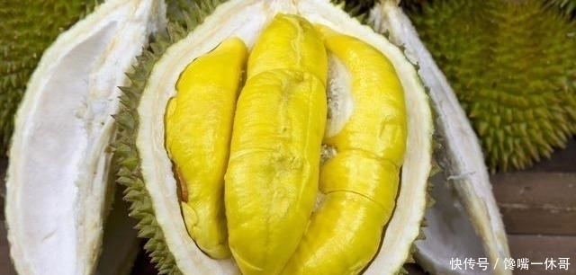 榴莲|一棵榴莲树可以长上百个榴莲,为什么还卖那么贵看完你就明白了