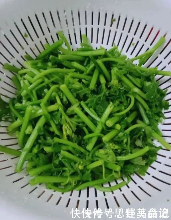 小蛮腰|某菜是个宝,隔三差五吃,排湿安眠,可惜很多人都扔了