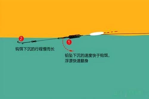 秋末钓鲫鱼,子线用长还是用短这样选更科学,中鱼率飙升几倍