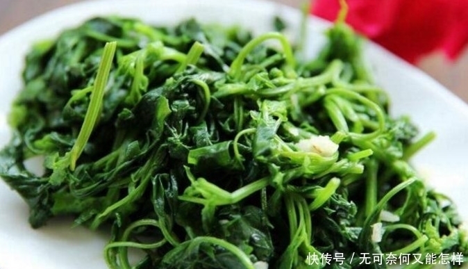 如果想要补钙，吃这种野菜就够了，不用花钱而且营养丰富