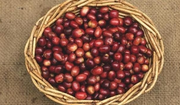 衰老|中年人可以多吃3种食物，补充营养、延缓衰老，谁吃谁受益！