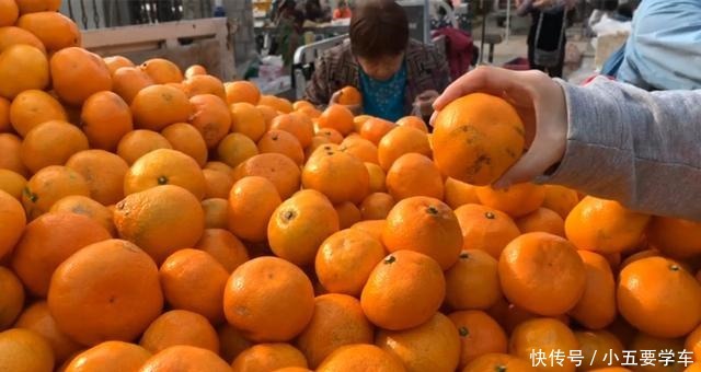买橘子时,只要喊出这“3个字”,老板一听是懂行的,不敢糊弄你