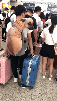 |搞笑段子:再坚强的男人也有累趴的时候!面对困难撸起袖子就干!