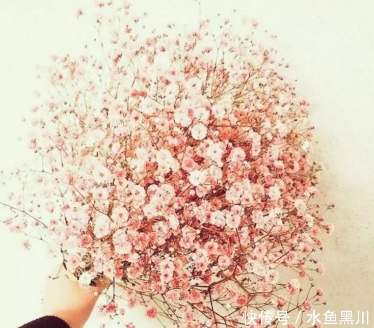 楼璹|六首“早安”诗词:风动影动心不动,独自沉香待花开