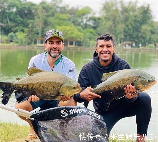 中超传奇|身败名裂,中超传奇球星惹众怒,遭球迷痛骂:毫无职业操守