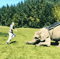 |搞笑GIF：你早就该打了，他也该打，唉，耽误我上班