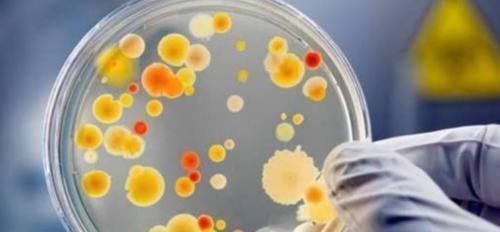 人类知道的东西太少了科学家又发现30个新物种,却只是冰山一角