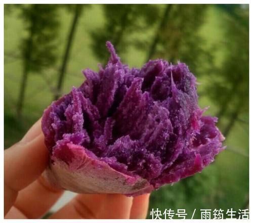 小姐姐|女人肚子大腿粗?健身教练:记住这“3招”,体脂蹭蹭降!