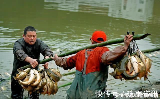 高手在民间，闽北神奇弓鱼术，能让鱼离水几天不死，是真的吗？