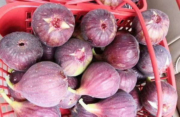 无花果|买这水果,就要挑“烂”的买,新鲜的不要,果店老板越烂越好吃