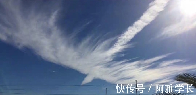 凌云志&七言绝句《秋风送志》,此诗属于直抒胸臆法,有没有喜欢的诗句?