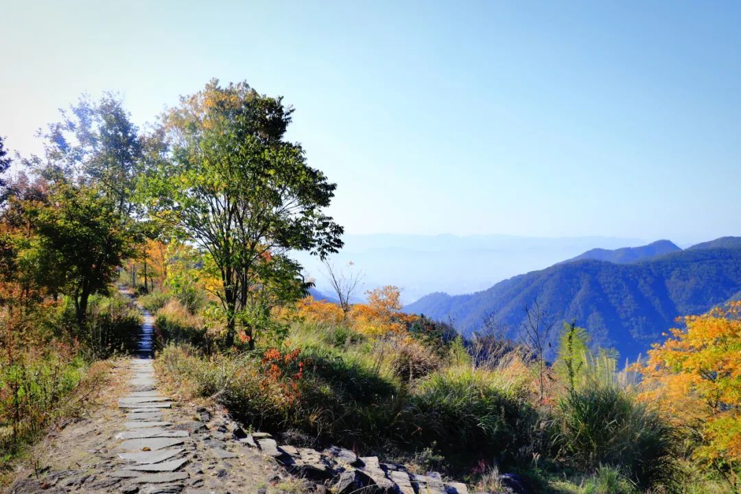 游天台山赋|天台金地岭——佛陇圣地, 这边风景独好!