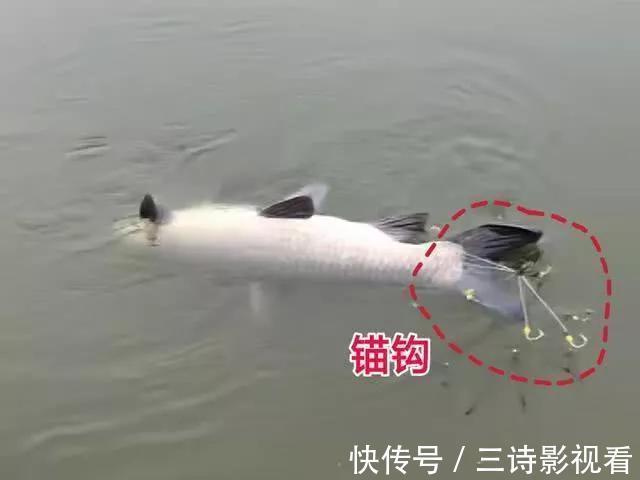 垂钓新规：3种钓法6种饵料将被永禁，可能就有你常用的