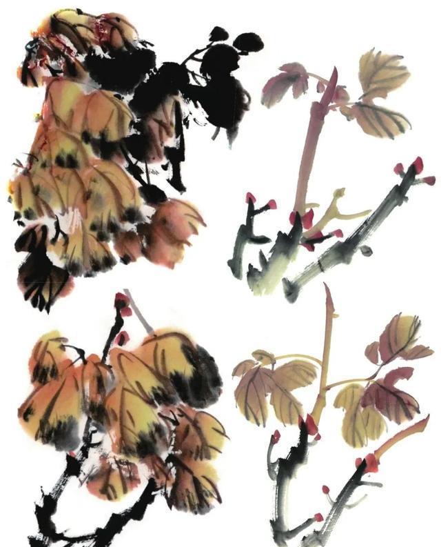 形态|紫、红牡丹花头写意画法与形态参考