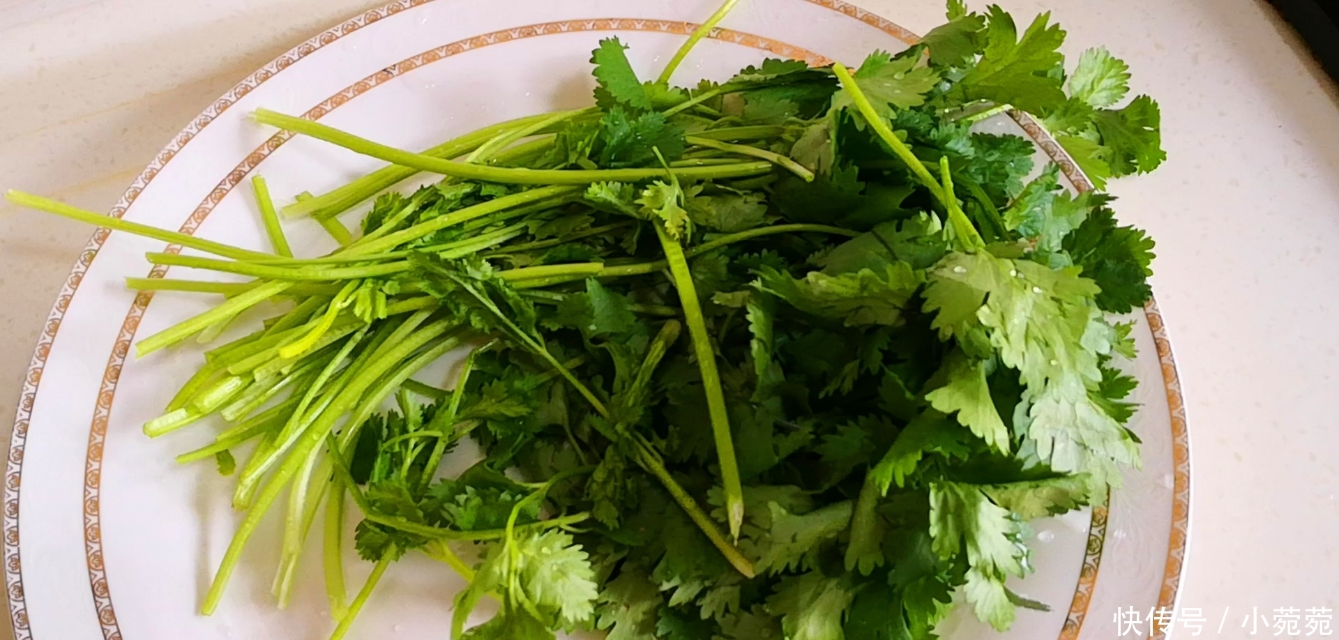 爱吃馄饨不会包?教你懒人做法,从擀皮到调馅讲解详细,太简单了