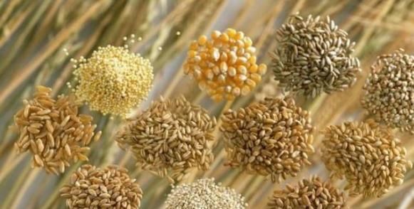 50岁后，想要健康长寿，做到3坚持，你将比同龄人更健康长寿