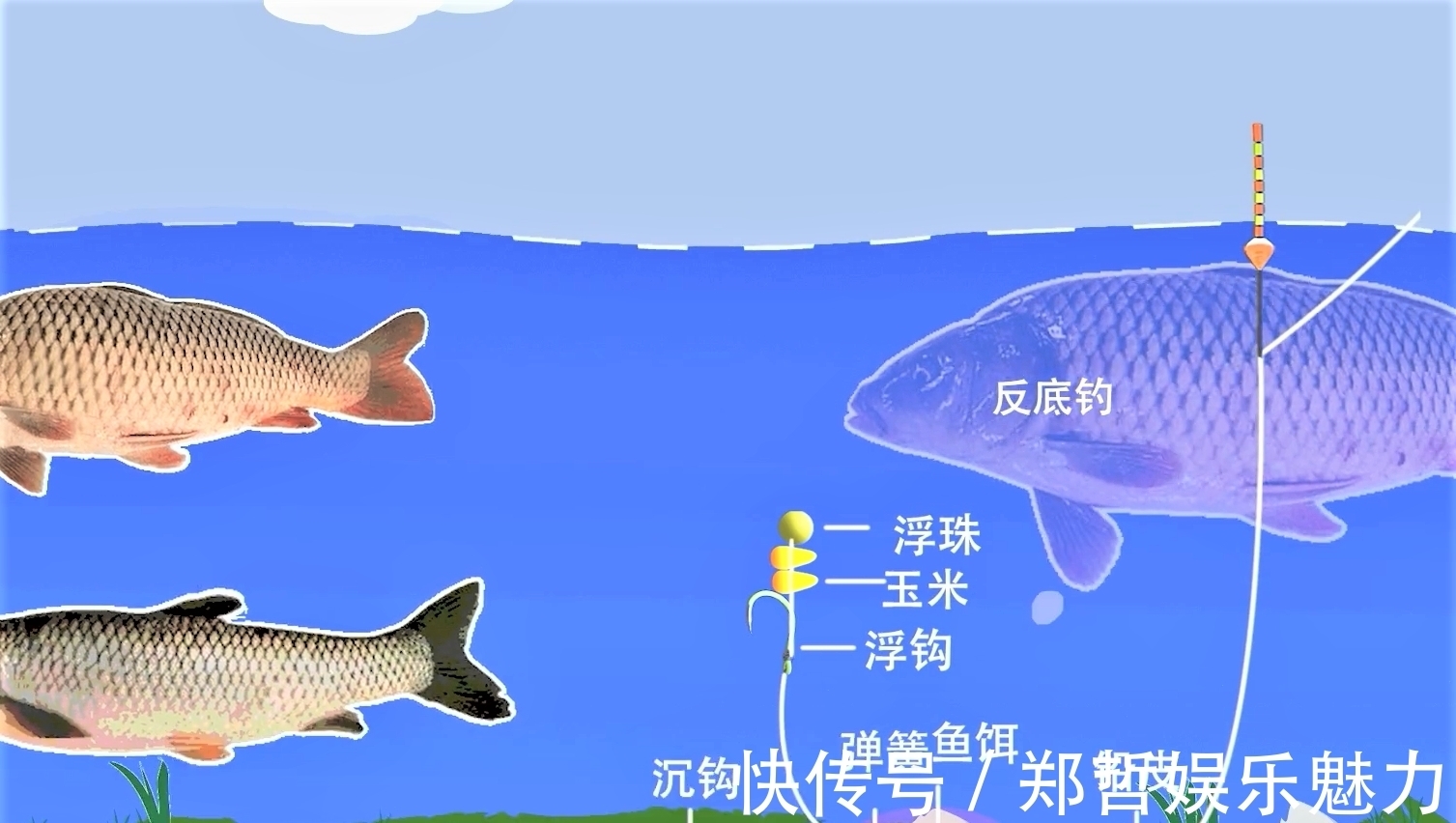 雾化|别人用玉米钓鱼收获满满，你用玉米钓鱼空军，原来这些细节没注意