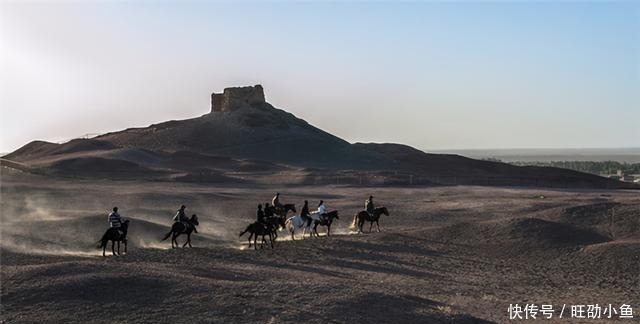 余秋雨曾为赴西北辞职,贾平凹:这人才百年难得,历史将会敬重