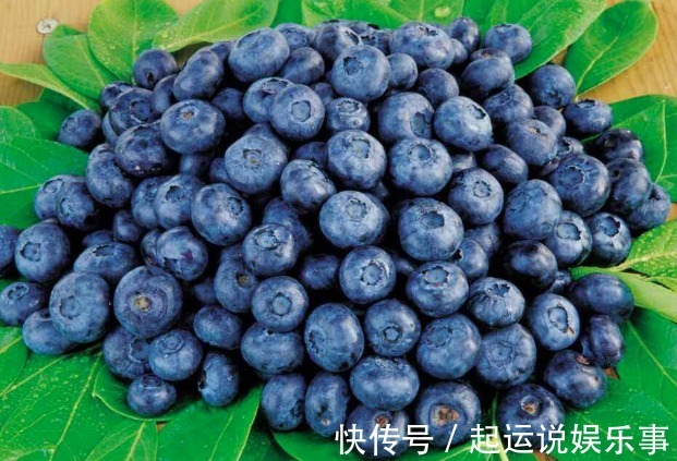 蓝莓|在怀孕期,有4种食物孕妈要常买来吃,能减轻孕吐,有益宝宝视力