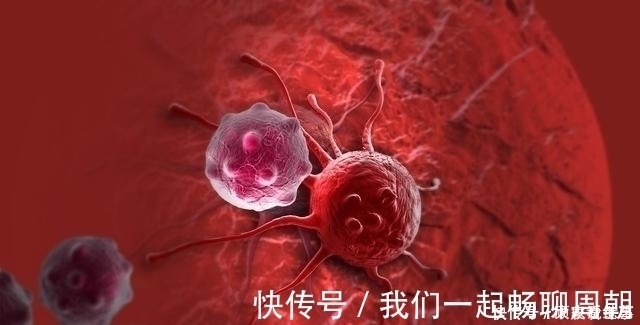 脏器|肿瘤患者福音,只要脏器功能还在,就可以很好地活下去