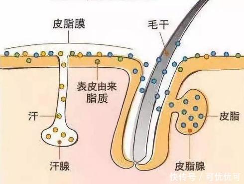 空气|只有化妆才需要卸妆？告诉你什么才是护肤第一步