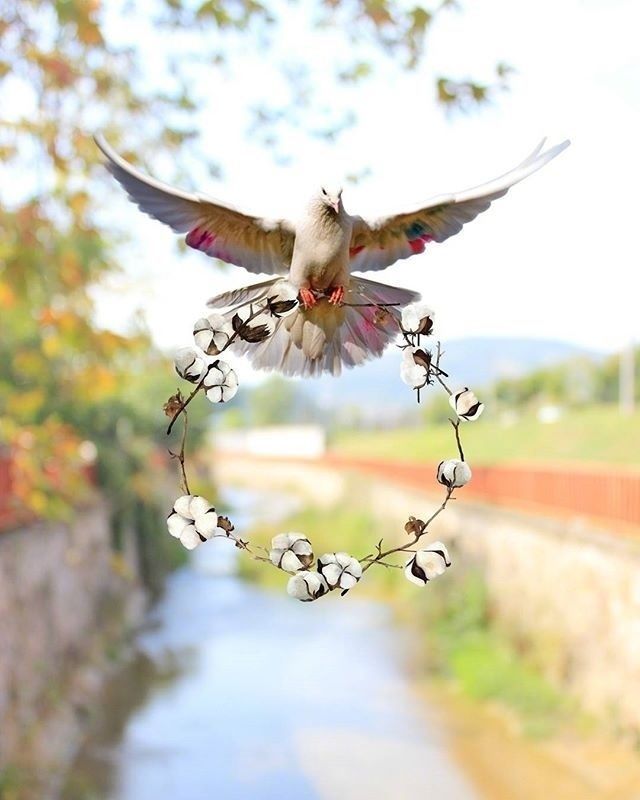 在你身边#越读越有味的人生格言,句句经典,引人深思