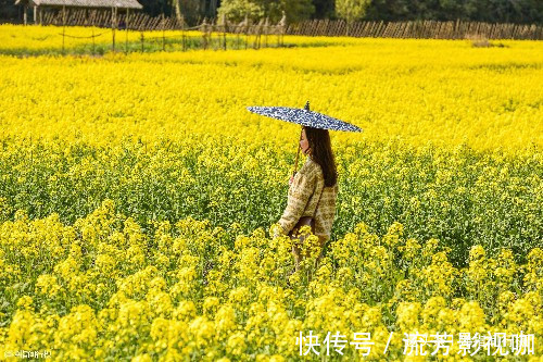 春色|中国”最诗意“的乡村，油菜花海徽派古村完美交融，春色美成仙境