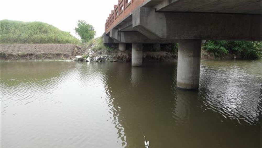 钓位|野钓选择钓位技巧:这些位置是“万能钓位”,一年四季是鱼窝!