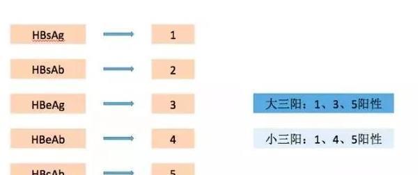 乙肝大三阳比小三阳危害大?都需要进行