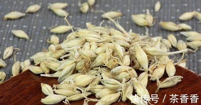 想要野钓鲫鱼连杆给口,这几种鲫鱼爱吃的饵料,就不得不认识一下