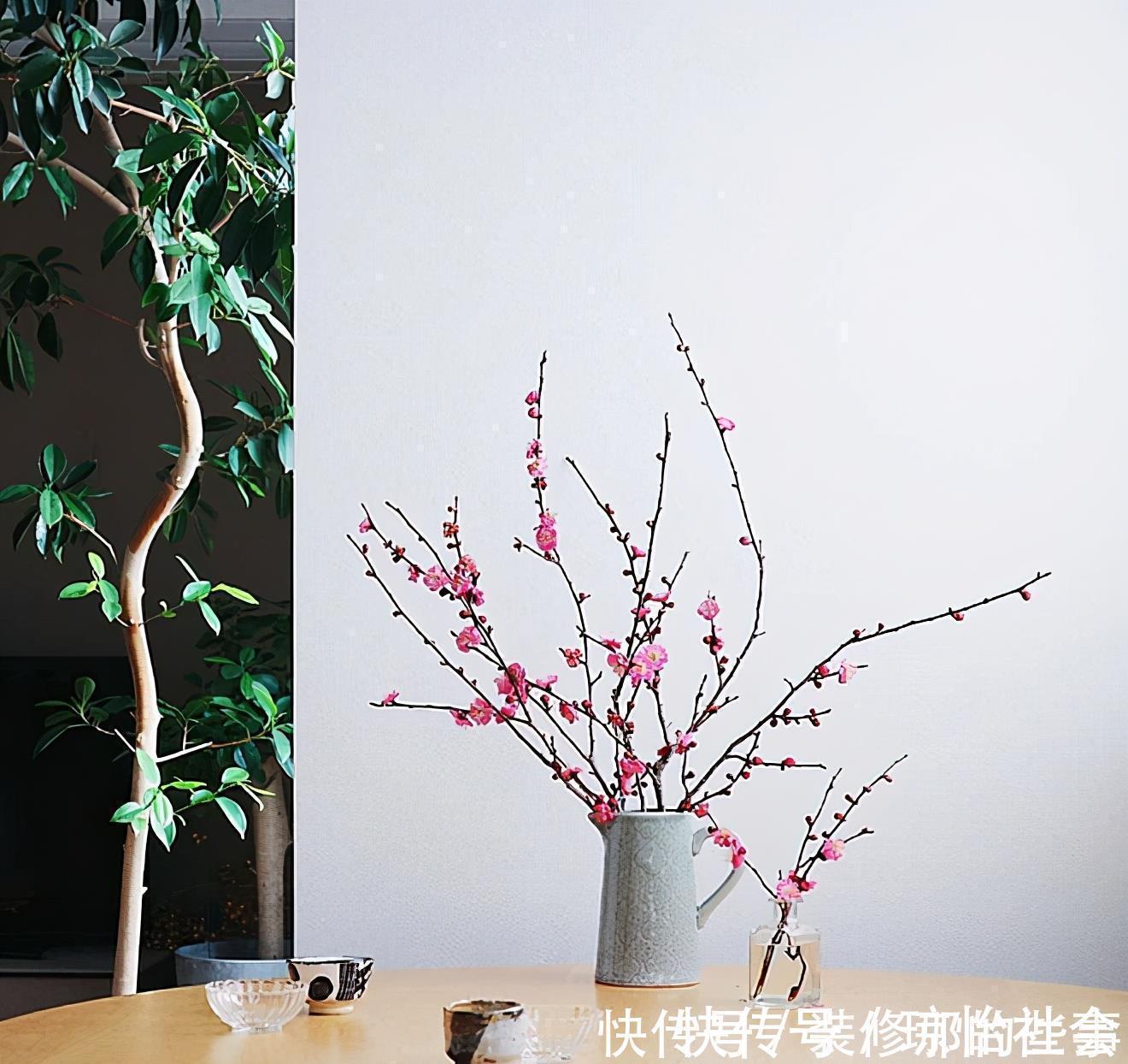 小两口之家，全屋布满绿植鲜花，把生活过成了诗，太美太治愈了