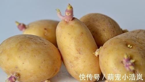 小苏打|发芽的土豆还能吃吗?原来这么多年我都误解了,记得告诉家里人