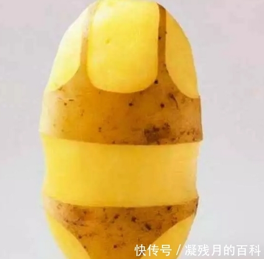 人无聊到爆的时候会干出什么事?看完这些奇葩的行为,我真服了