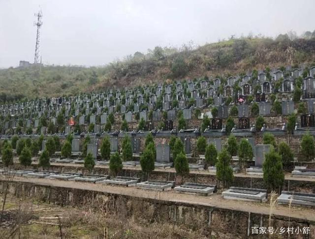 管理费|为什么有些人不愿意买墓地,而是花几十万买小区放骨灰盒